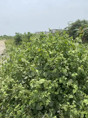 Plots of Land for Sale