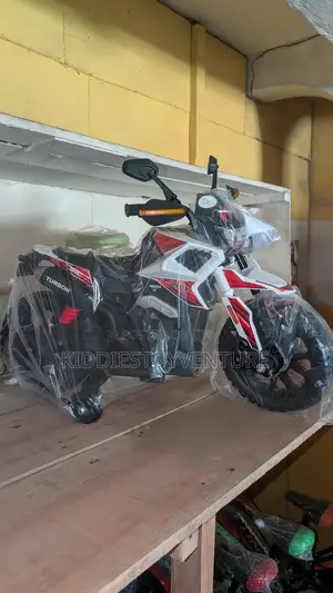 Flipper Power Bike for Kid