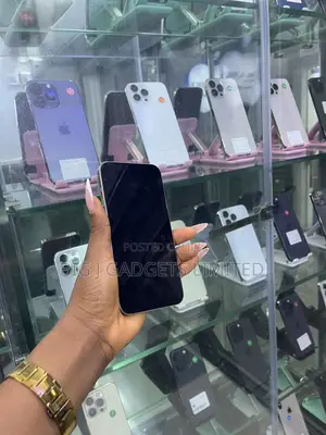 Apple iPhone 15 Pro Max 256 GB
