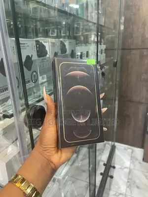 New Apple iPhone 12 Pro Max 256 GB Gold