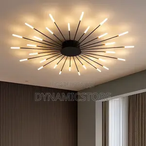 Star Ceiling Light