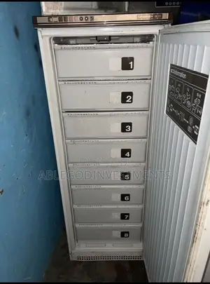 Standing Freezer
