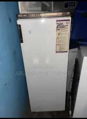 Standing Freezer