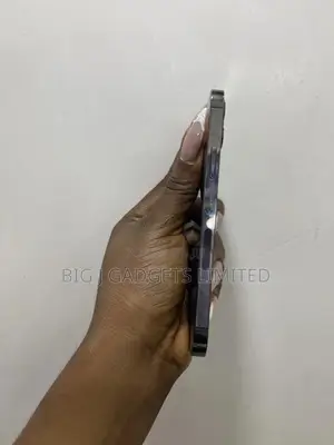 Apple iPhone 12 Pro 128 GB Gray