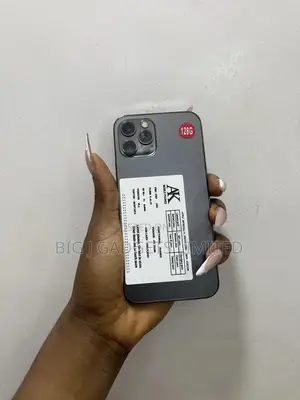 Apple iPhone 12 Pro 128 GB Gray