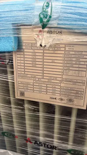 Astor Power Transformer 1000kva 33000kv