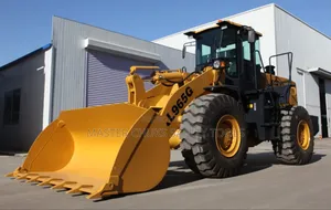 5 Ton Paylooader