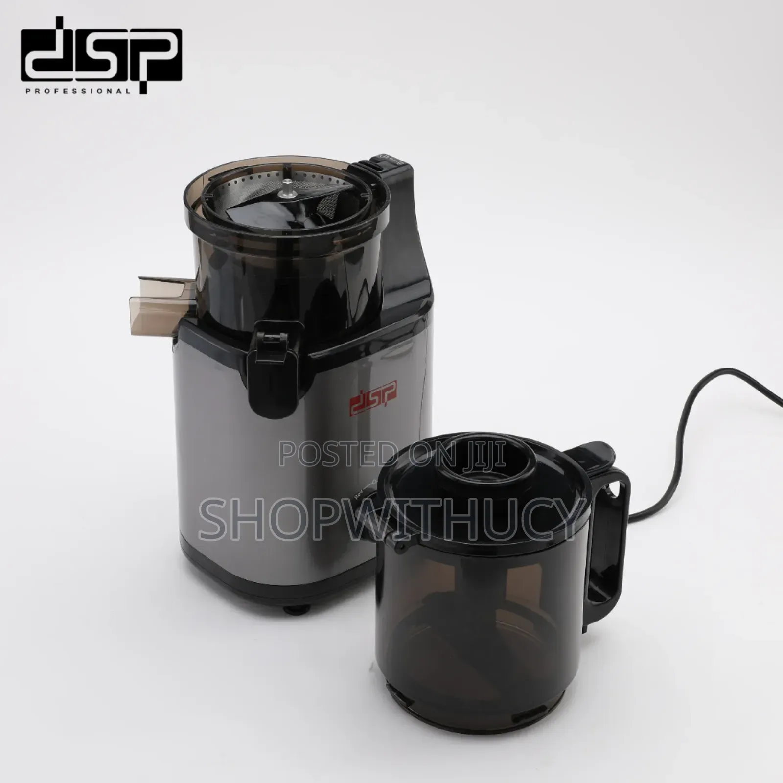 DSP Professional Whole Fruit Juicer 300watts Masticating Slow Juicer