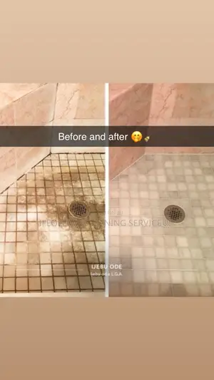Cleaning Services