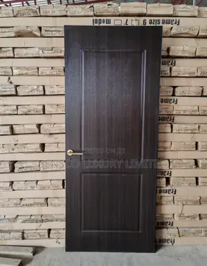 Modern Interior Door – Colon Black Z011 With Ash Aluminum Strips
