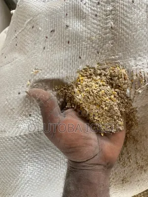 Broken Maize Dust