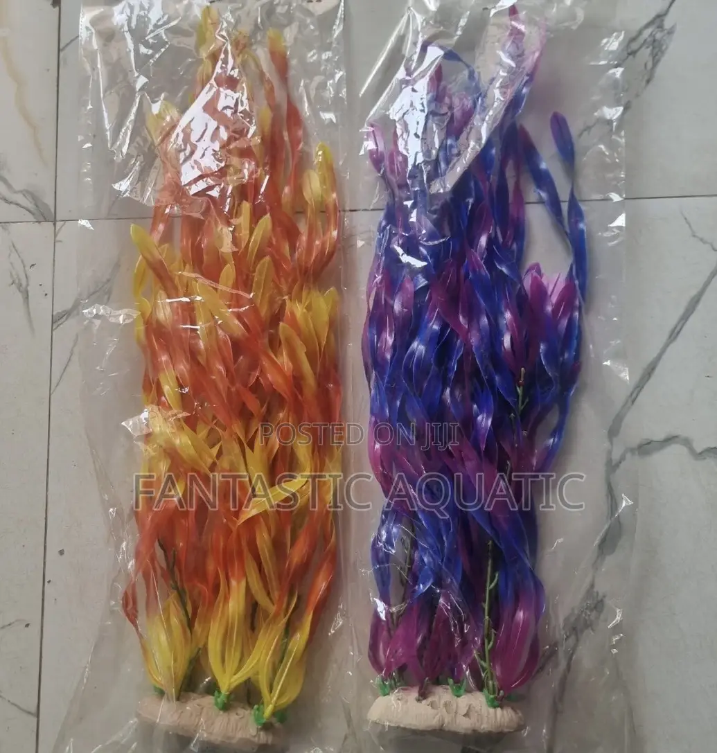 60cm Aquarium Flower
