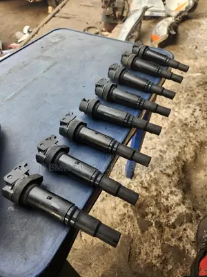 BMW Complete Coil