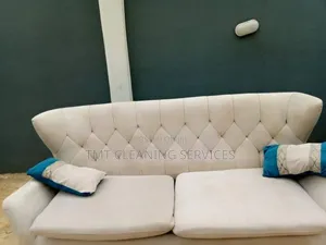 Cleaning Rugs Nd Sofa
