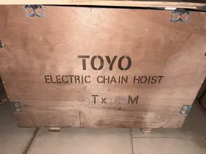 Electric Chain Hoist With the Motor