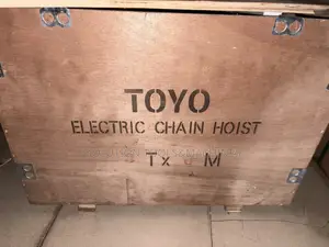 Electric Chain Hoist With the Motor