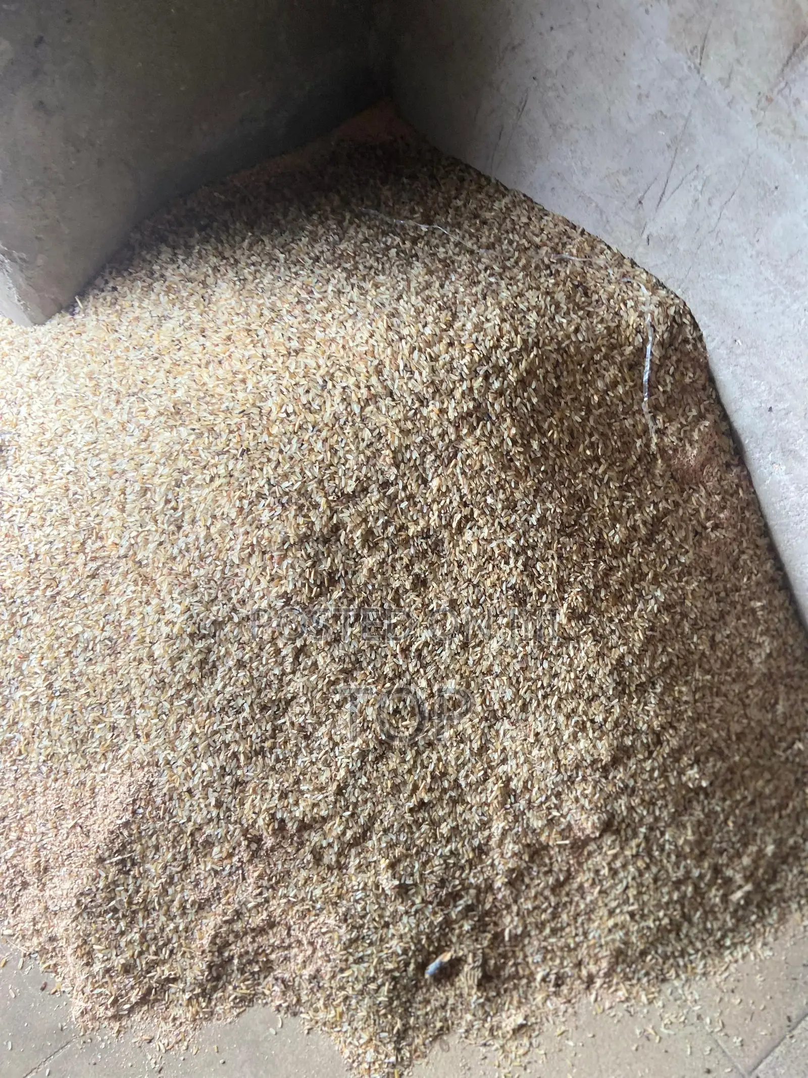 Dog Brown Rice Available