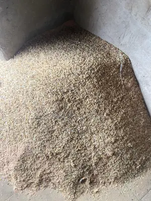 Dog Brown Rice Available