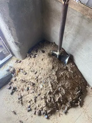 Dog Brown Rice Available