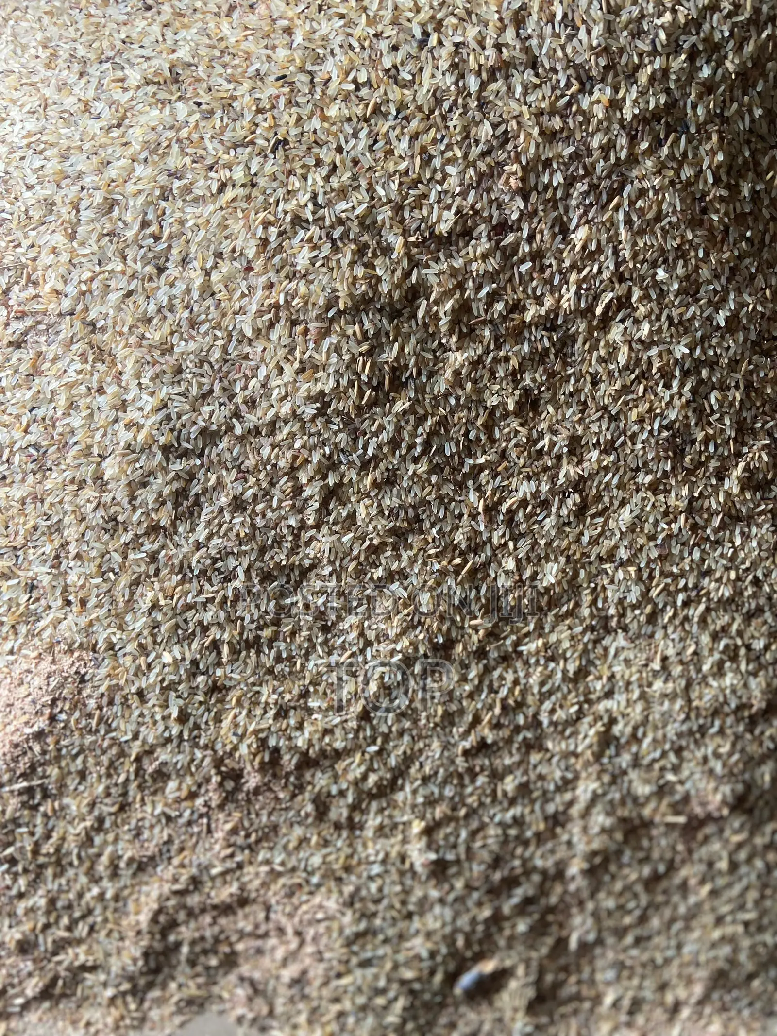 Dog Brown Rice Available