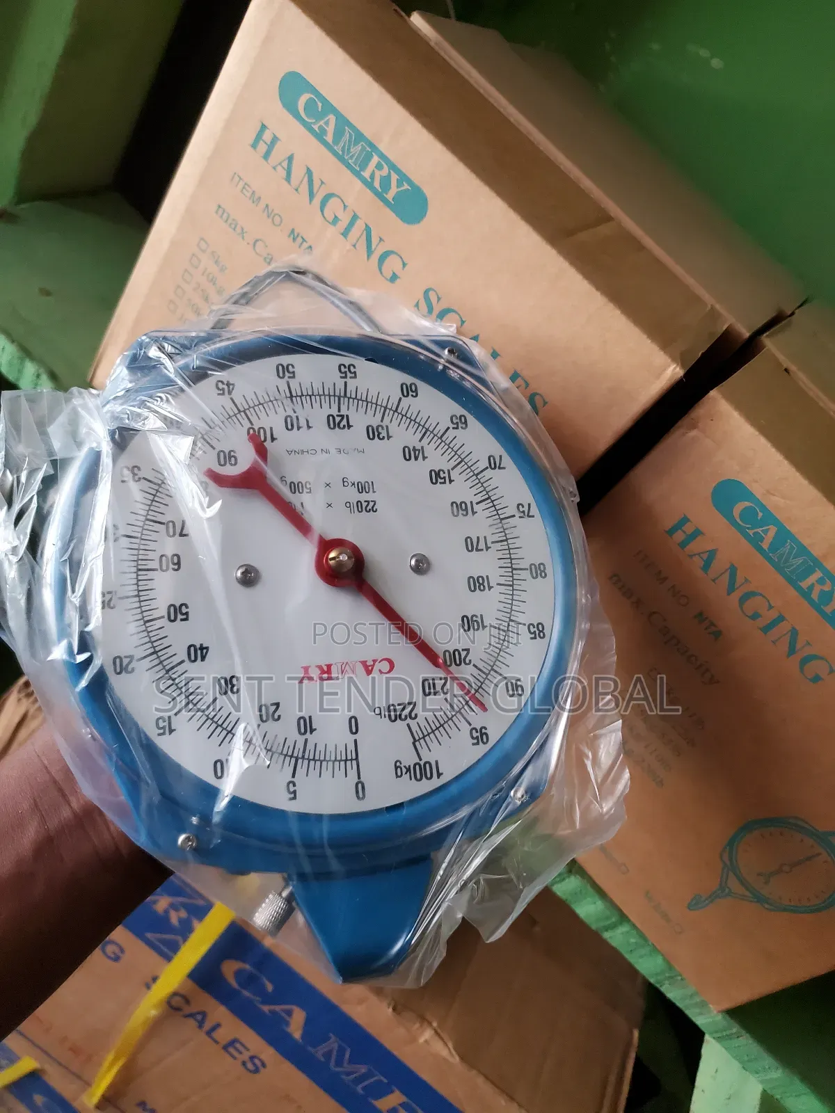 Hanging Scale