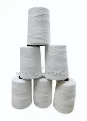 Sewing Thread for Pp Woven Sack Bag Sealing