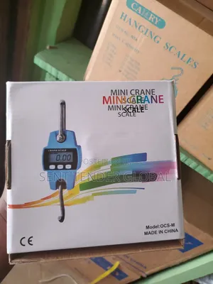 Mini Crane Scale 300kg Weighing Digital Industrial Hanging Scale