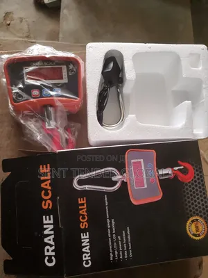 Crane Scale