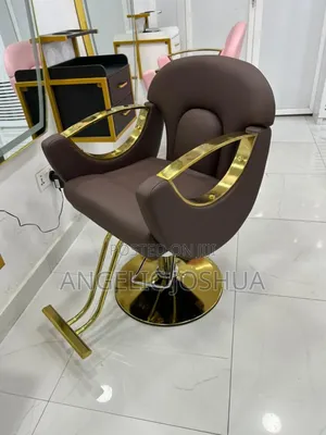 Brown Mix Saloon Chair