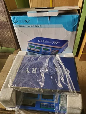 40kg Cammry Electronic Pricing Scale Digital