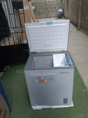 Economic Skyrun 145l Deep Freezer for Home