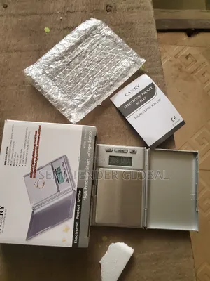 Electronic Pocket Scale