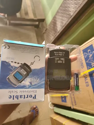 Portable Electronic Scale
