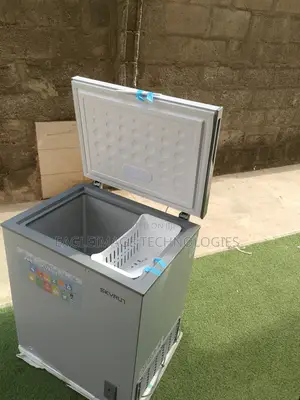 Skyrun 145l Deep Freezer: No More Food Spoilage