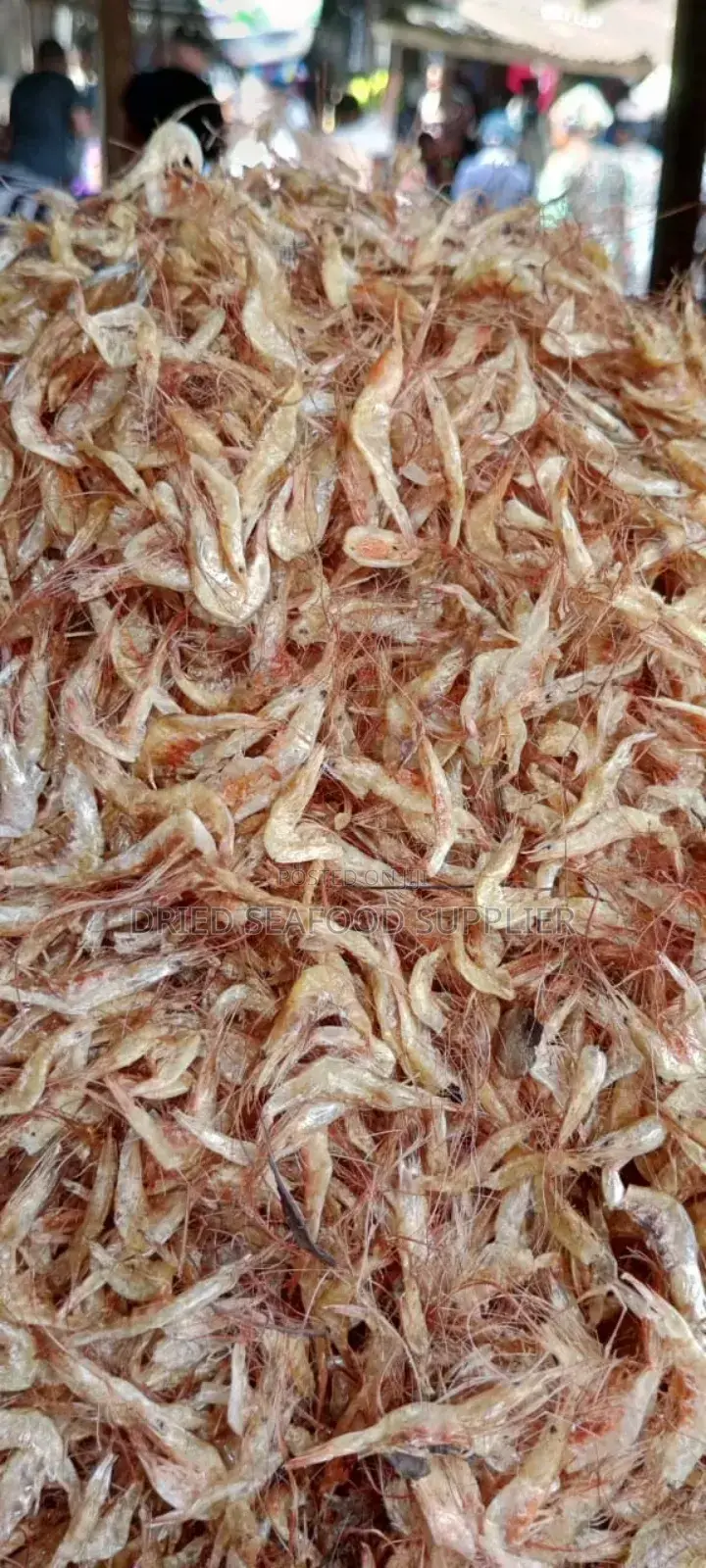 Crayfish Oron