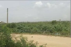 Land and Property