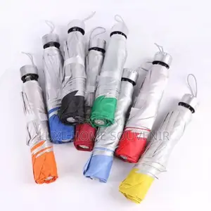 Portable Mini Umbrella