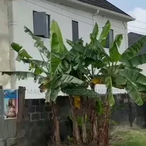 11 Plots Of Land Available