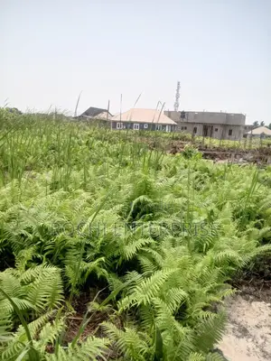 One Plot of Land at Ijegun Ijagemo