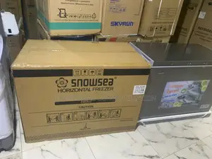 Snowsea Bd-450g Home Business Deep Freezer