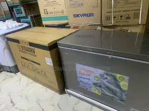 Snowsea Bd-450g 300liter Chest Freezer With Basket