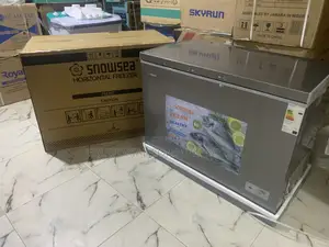 Snowsea Bd-450g Business Freezer Solution