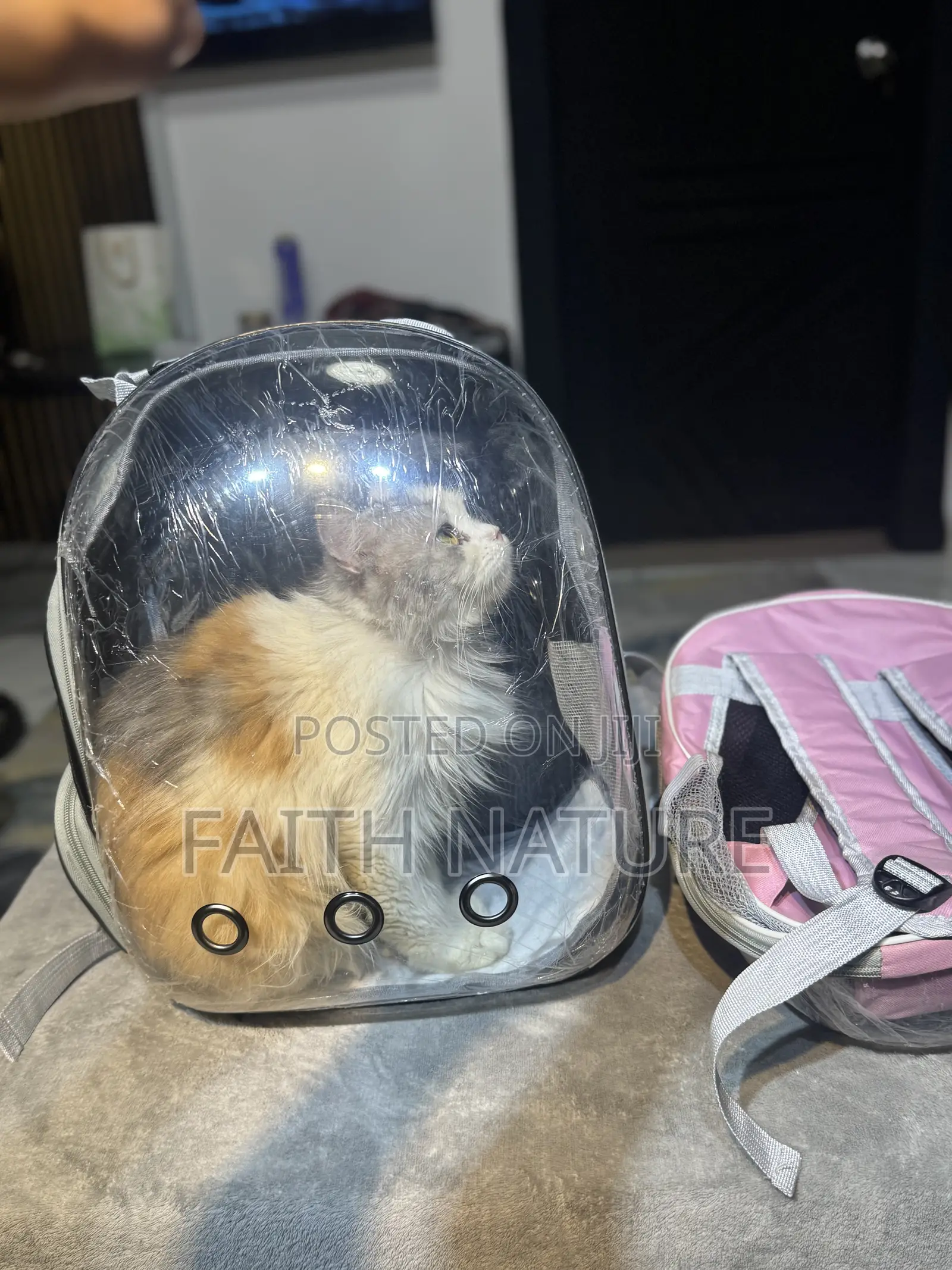 Pet Carrier Bag