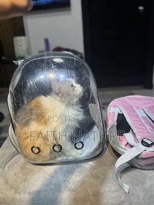 Pet Carrier Bag