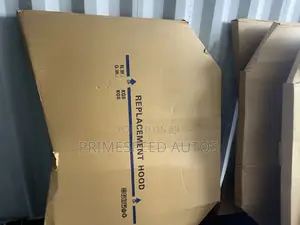 Bonnet Prado 2018/2020 Model