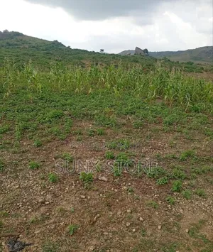 Prime 2.0 Hectares Land for Sale — Abuja