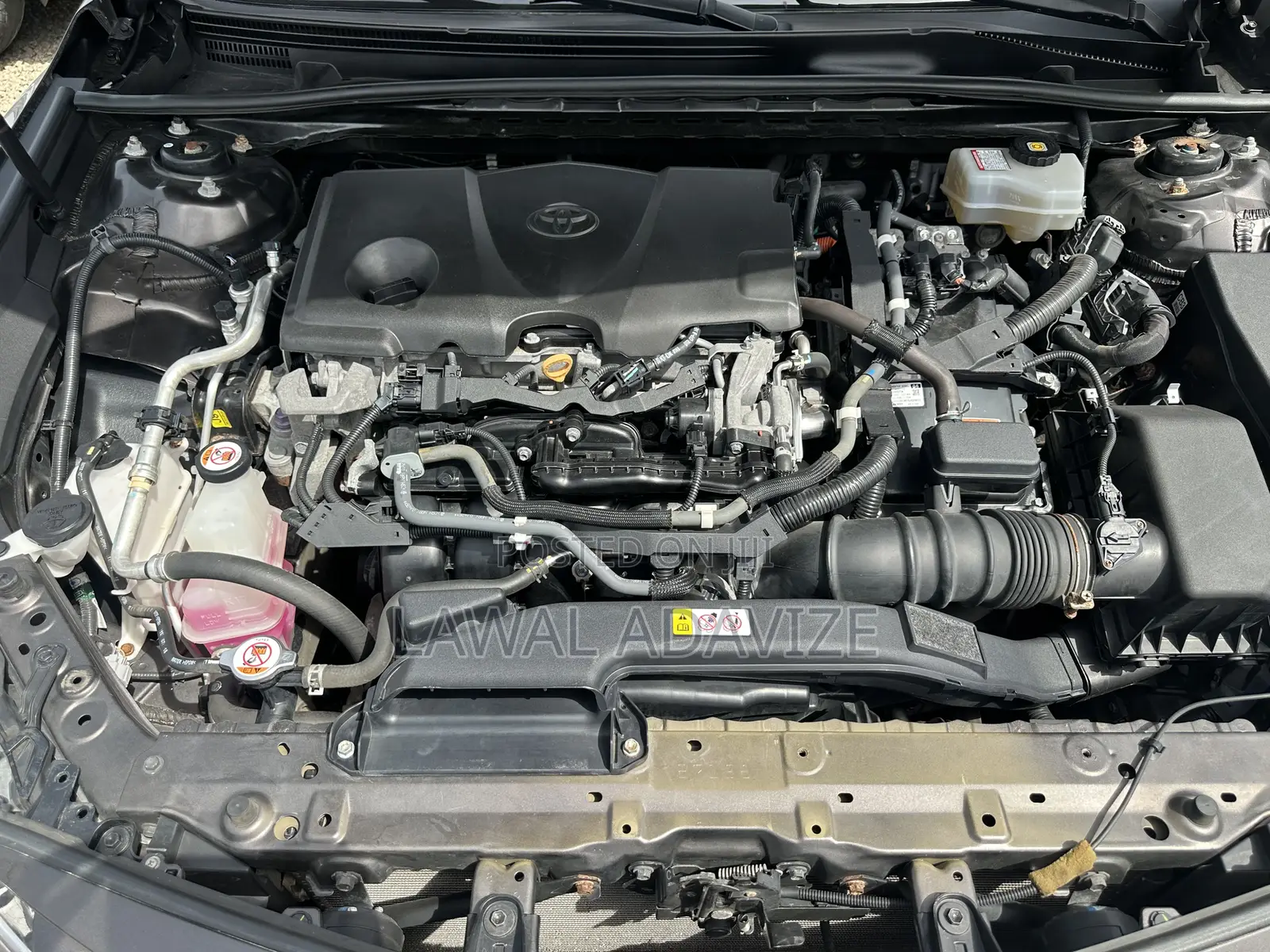 Toyota Camry LE (2.5L 4cyl 8A) 2019