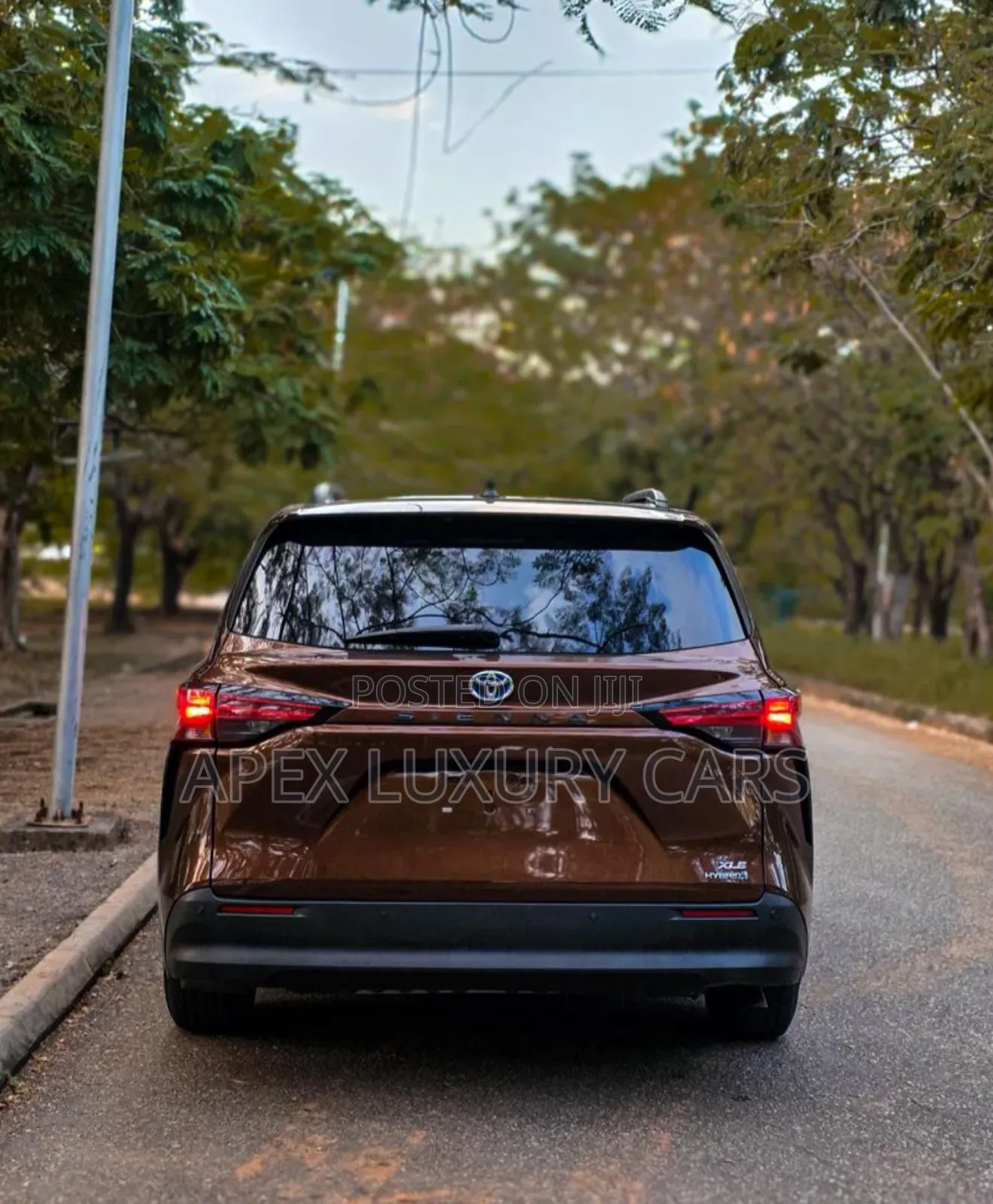 Toyota Sienna 2023 Brown