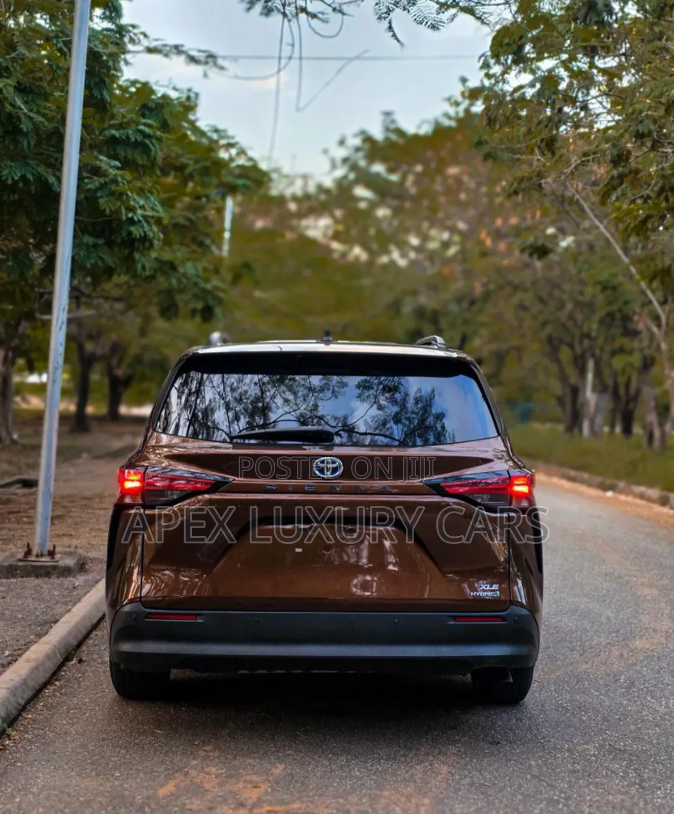 Toyota Sienna 2023 Brown