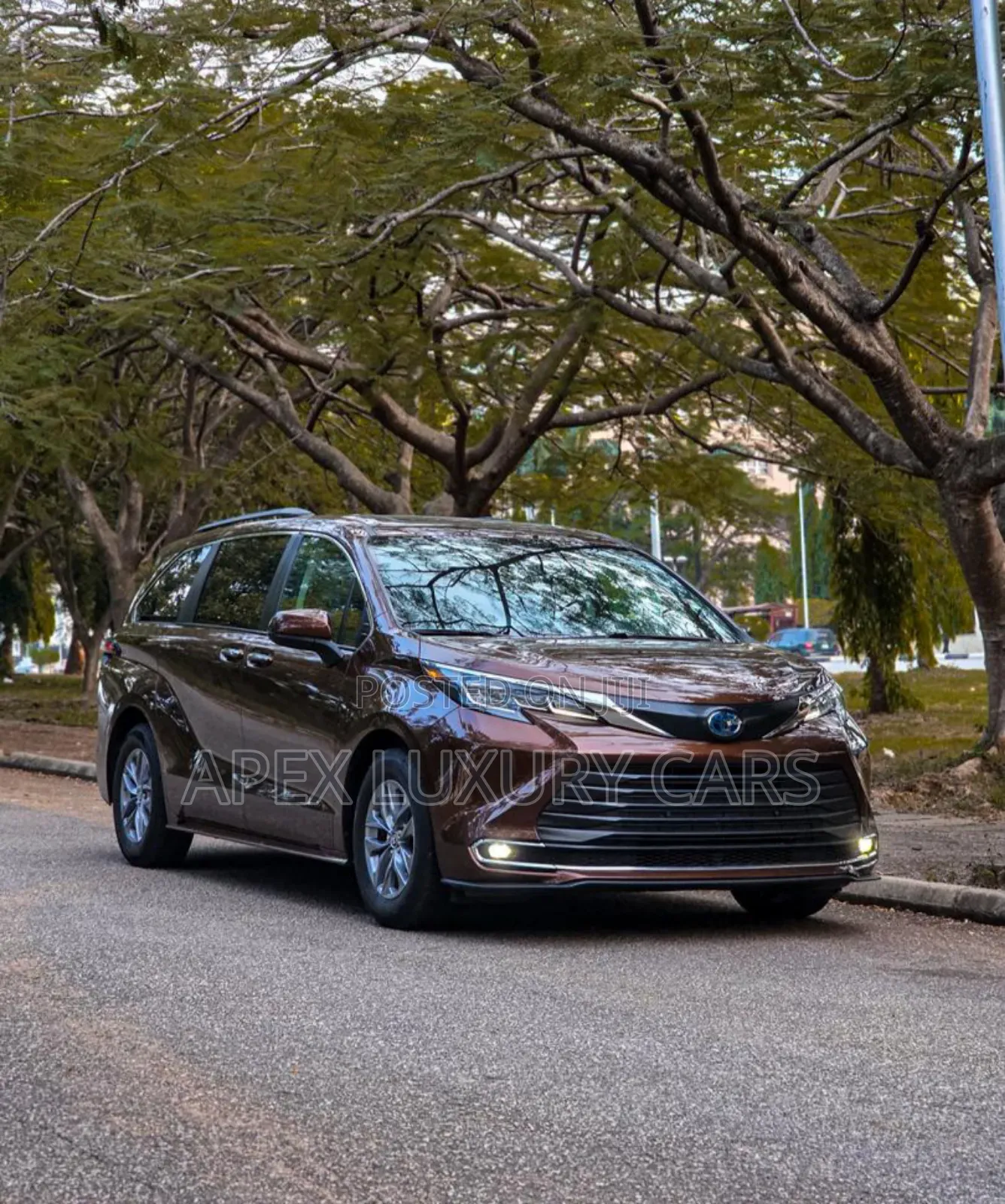 Toyota Sienna 2023 Brown